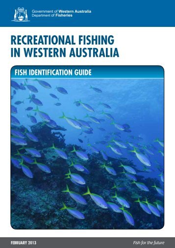 Recreational Fishing in Western Australia - Fish Identification Guide