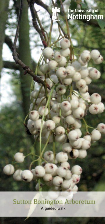 Sutton Bonington Arboretum – a guided - University of Nottingham