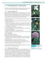 5.3 Class Magnoliopsida – flowering plants - Cambridge University ...