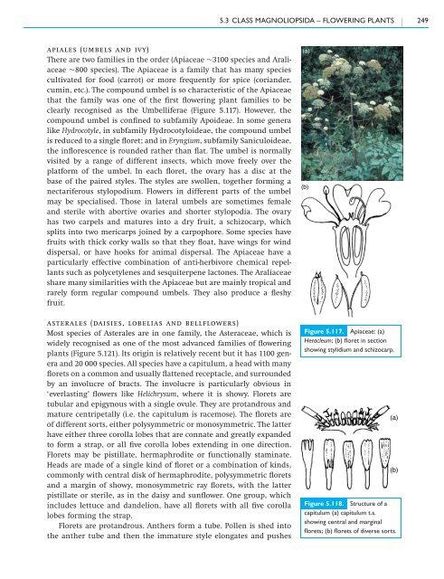 5.3 Class Magnoliopsida – flowering plants - Cambridge University ...