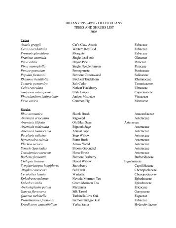 Trees and Shrub List 200