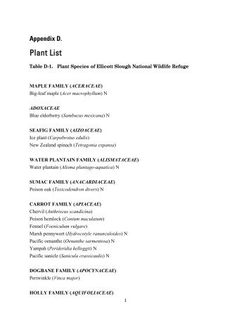 Plant List (pdf)