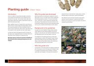 Planting guide- STREET TREES - Tauranga City Council