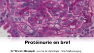 Protéinurie en bref