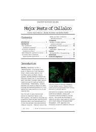 Identification Guide - Major Pests of Callaloo - OIRED - Virginia Tech