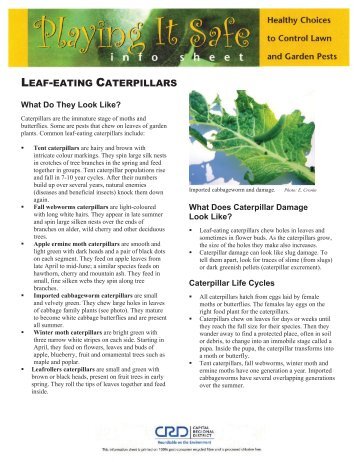 LEAF-EATING CATERPILLARS - District of Saanich