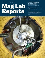 Project - National High Magnetic Field Laboratory - Florida