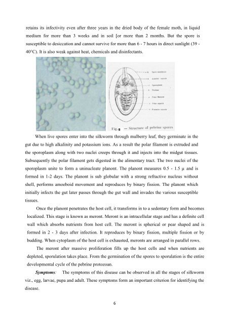 silkworm grasserie and pebrine for open elective