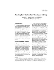 Feeding Dairy Heifers from Weaning to Calving1