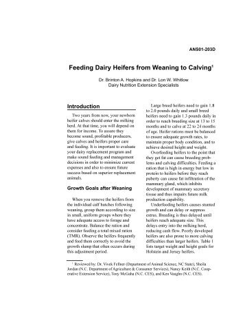 Feeding Dairy Heifers from Weaning to Calving1