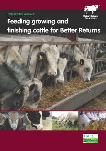 Feeding growing and finishing cattle for Better Returns - Eblex