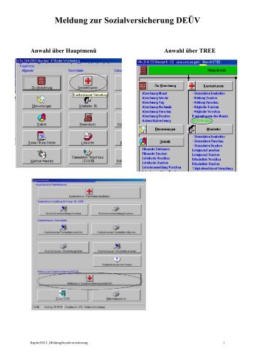 Meldung zur Sozialversicherung DEÃƒÂœV