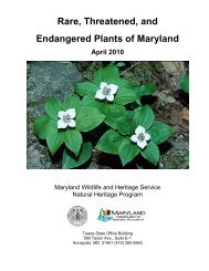 Rare, Threatened and Endangered Plants of Maryland. April