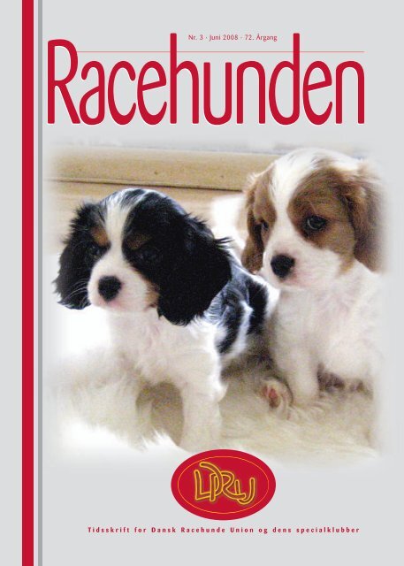 Dansk Racehunde Union - DRU