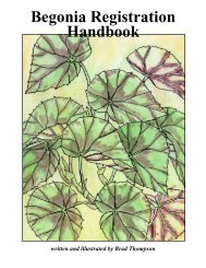 Asian Begonias Astros Branch American Begonia Society Asian Begonias Astros Branch American Begonia Society