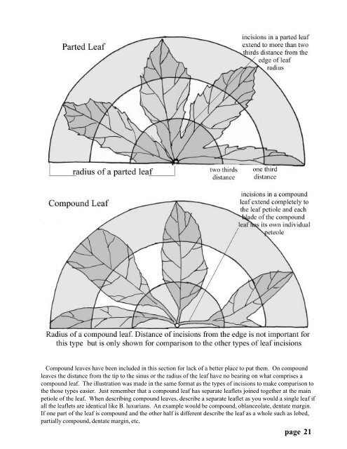 Begonia Registration Handbook - American Begonia Society