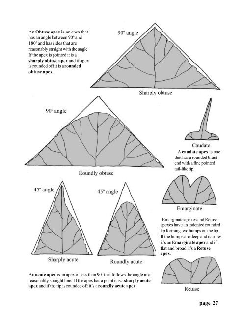 Begonia Registration Handbook - American Begonia Society