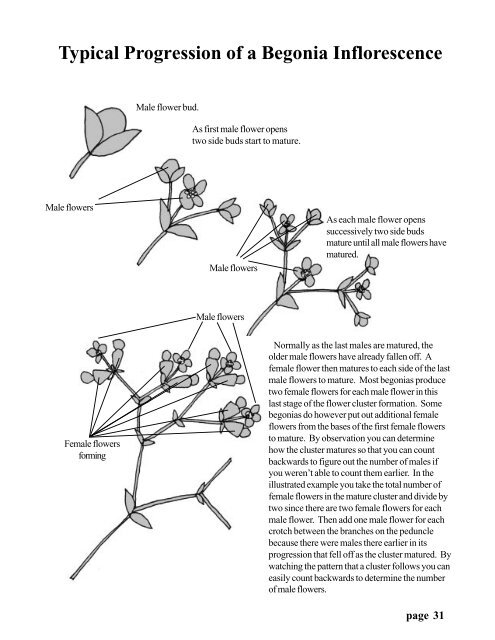 Begonia Registration Handbook - American Begonia Society