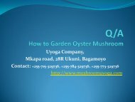 How can I garden Mushroom - Uyoga Tanzanian Mushrooms