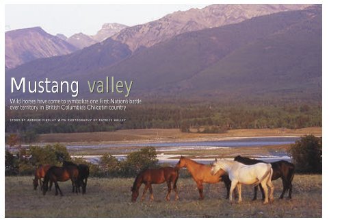 Mustang Valley - Andrew Findlay