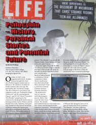 History, Personal Stories and Potential Future - FUNGI Magazine