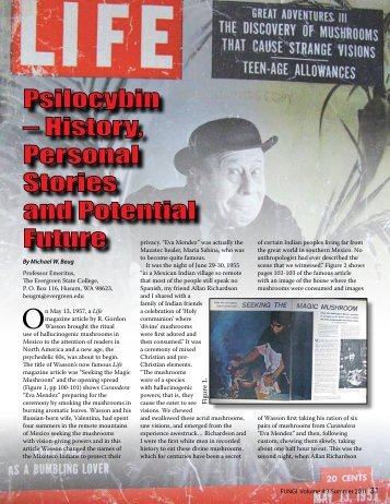 History, Personal Stories and Potential Future - FUNGI Magazine