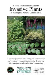 Invasive Plants - Michigan Natural Features Inventory - Michigan ...