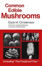 Common Edible Mushrooms