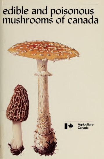 Edible and poisonous mushrooms of Canada