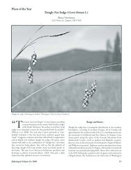Dangly Fen Sedge - Native Plant Society of Oregon