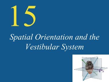 Spatial Orientation and the Vestibular System