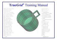 TrueGrid Training Manual