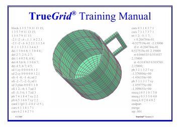 TrueGrid Training Manual