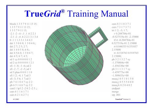 TrueGrid Training Manual