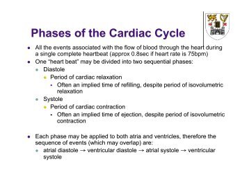 4. The Cardiac Cycle 08-09forPDF