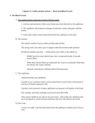 CHAPTER 7: CARDIOVASCULAR SYSTEM