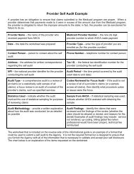 Provider Self Audit Example