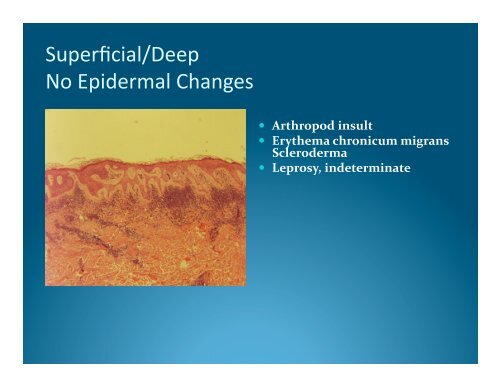 Dermatopathology-We've Only Just Begun ... - DermpathMD.com