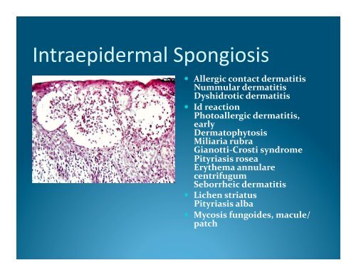 Dermatopathology-We've Only Just Begun ... - DermpathMD.com