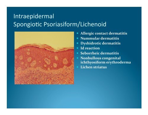 Dermatopathology-We've Only Just Begun ... - DermpathMD.com