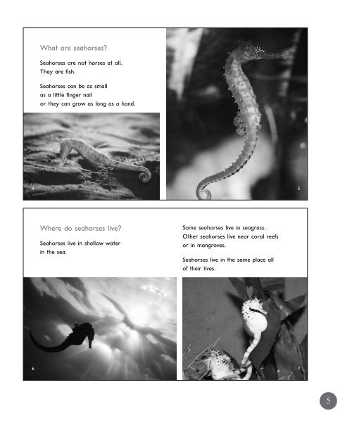 L14 TEpp Seahorses - Alpha Literacy