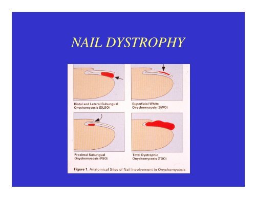 Dermatology Rash Lecture