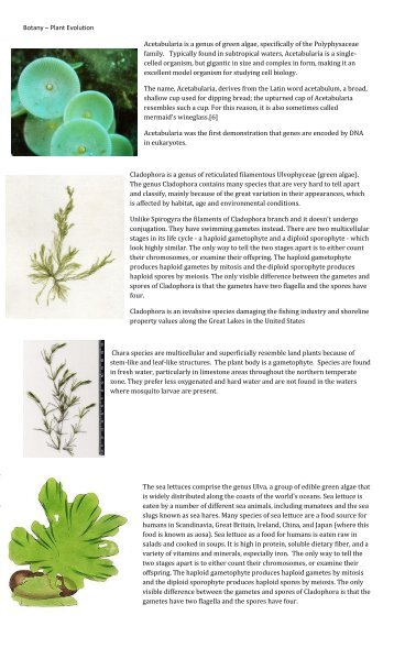 Botany – Plant Evolution Acetabularia is a genus of green ... - Quia