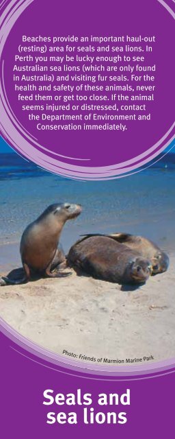 Beachcombers Field Guide - Department Of Fisheries Western ...