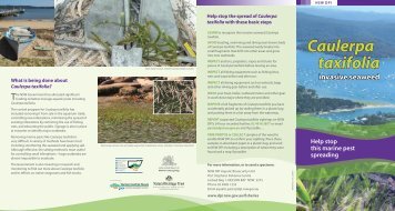 Caulerpa Taxifolia invasive seaweed brochure - NSW Government