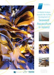 Seaweed Aquaculture in Ireland - Bord Iascaigh Mhara