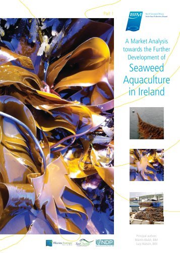 Seaweed Aquaculture in Ireland - Bord Iascaigh Mhara