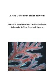 s A Field Guide to the British Seaweeds - NMBAQC