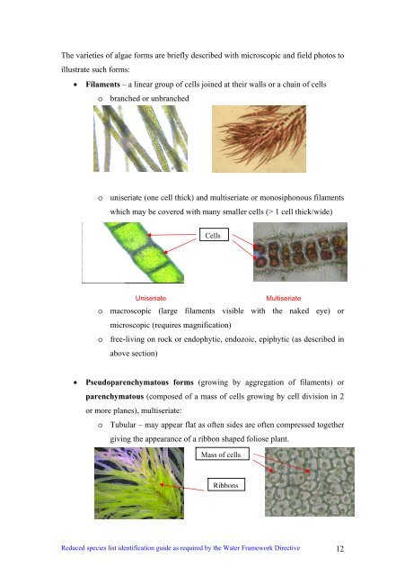 s A Field Guide to the British Seaweeds - NMBAQC