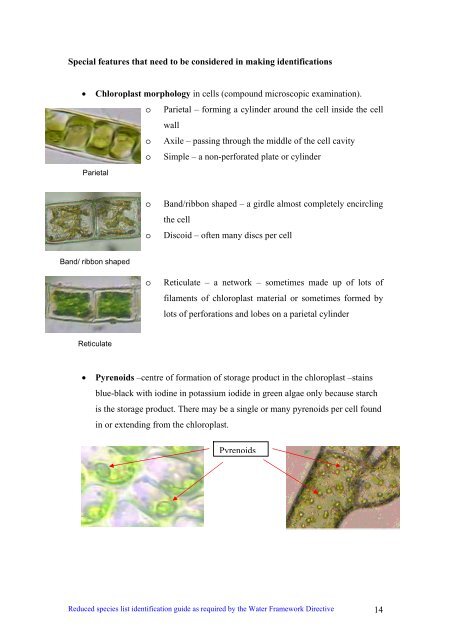 s A Field Guide to the British Seaweeds - NMBAQC